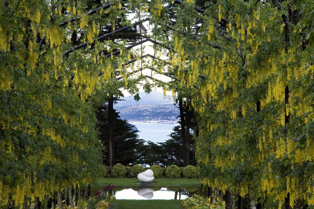 Lodge Larnach & Stable Dunedin
