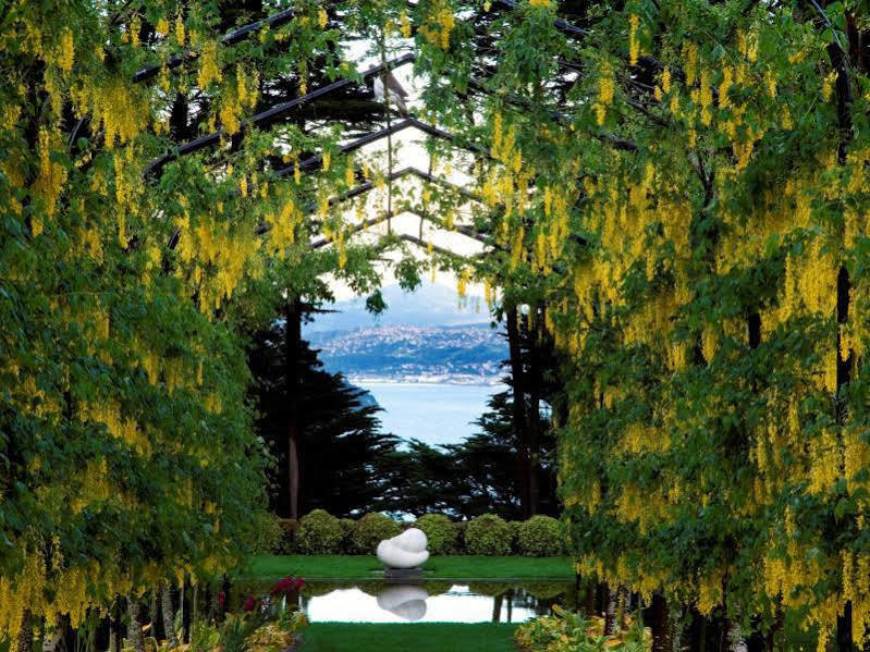 Larnach & Stable Lodge *